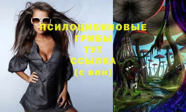 ПСИЛОЦИБИНОВЫЕ ГРИБЫ Вязьма