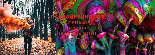 ПСИЛОЦИБИНОВЫЕ ГРИБЫ Вязьма