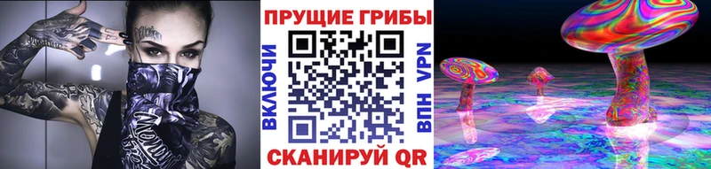 Псилоцибиновые грибы Psilocybine cubensis  Купить  Спасск-Рязанский 