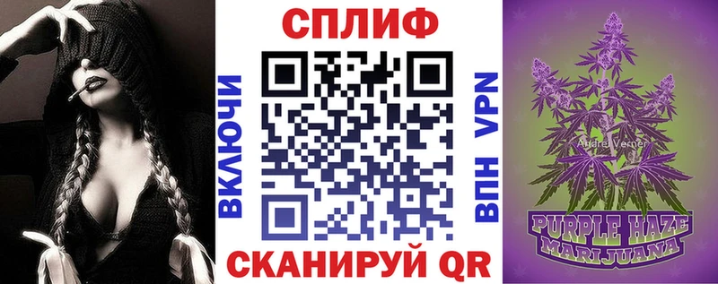 Купить закладки  Спасск-Рязанский  Конопля индика 